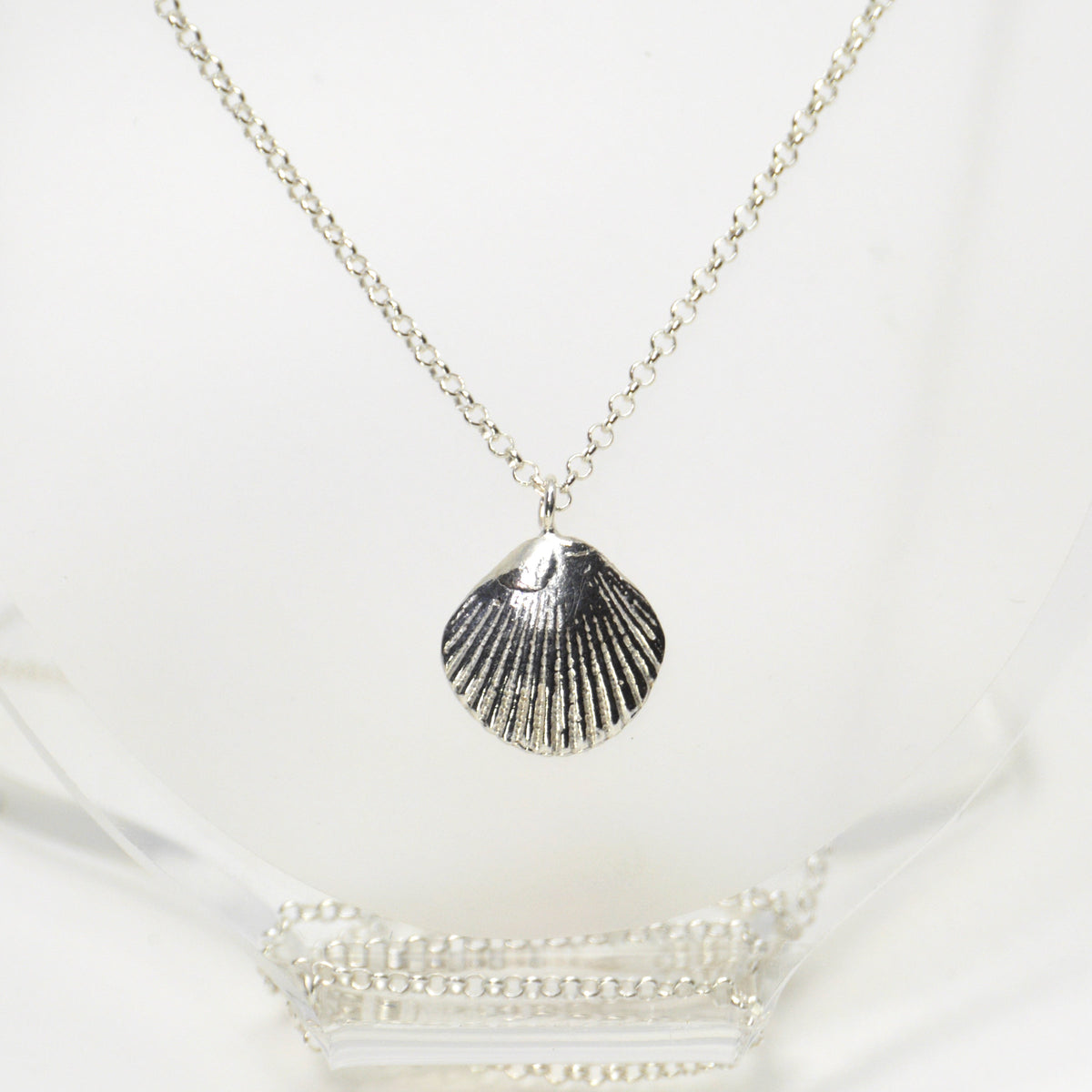 Cockle shell online necklace