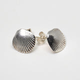 sterling silver cockle shell stud earrings